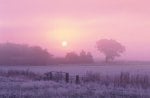 Sunrise Over Frosty Farmland Norfolk England