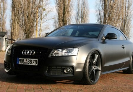 Audi A5 Avus Performance 2009 - a5, avus, audi, 2009, performance