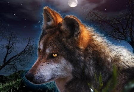 Fantasy Wolf - wolf, wolves, animals, dogs, moonlight, fantasy