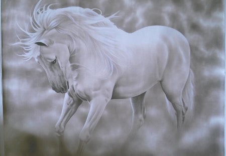 White Beauty Spaniard - andalusian horse, horses, spain, spanish horse, iberian horse, animals