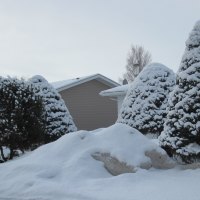 Forces of Nature in a white snow