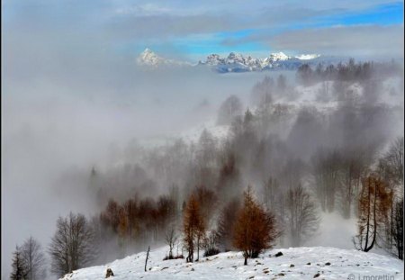 January mists - mists, trees, winter, snow, sky