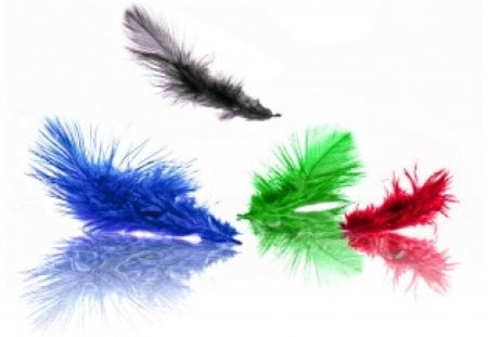 Light as a feather - feathers, red, blue, floating, green, colors, black