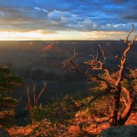 wonderful sunrise on the grand canyon