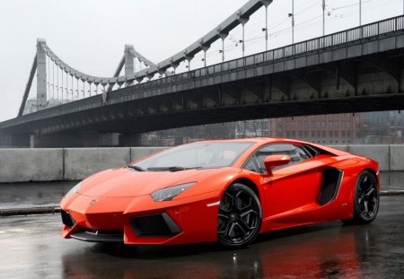 orange Lamborghini LP700 - sports, italian, lamborghini, car, orange, road, aventador