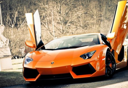 Super Lamborghini Aventador - road, lamborghini, super, aventador