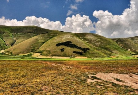 hill - hill, fields, mountain, green