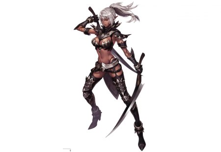 Lone Warrioress - plain background, thigh highs, lone, swords, female, girl, warrior, fantasy, armor, white background, armour, weapons, white hair