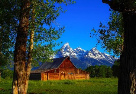 Barn in Grand Teton