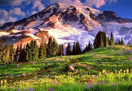 Majestic mountain - beauty, nice, sky, trees, colorful, greenery, meadow, pretty, clouds, snowy, grass, mountain, summer, majestic, lovely, peaks, nature, snow, beautiful, delight, flowers