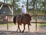 cowgirls