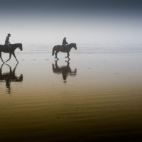 women sand horses