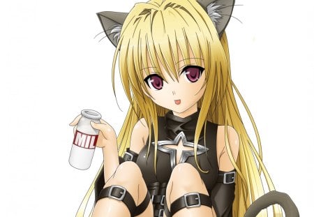 I don't need Milk - milk, anime, female, ears, blonde, nekomimi, blond hair, long hair, blond, plain, neko, anime girl, hot, girl, simple, blonde hair, black, white, neko mimi, cute, sexy