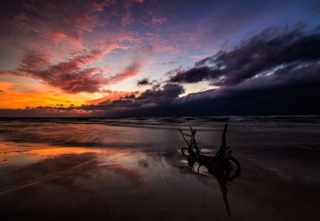 Sunset - beauty, beach, sky, peaceful, sunset, purple sky, purple sunset, view, clouds, sand, ocean, lovely, nature, beautiful, splendor, ocean view, sea