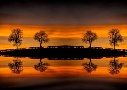 Reflection - sky, trees, nature, reflection