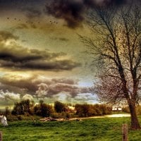 HDR Countryside Landscape