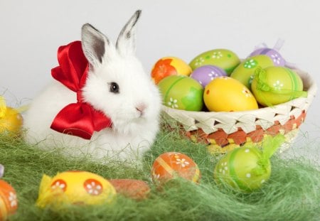 Happy Easter - eggs, rabbit, bunny, Easter, sweet, easter eggs, Happy Easter, cute, ribbon, adorable, bow