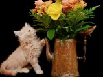 Cat and flowers