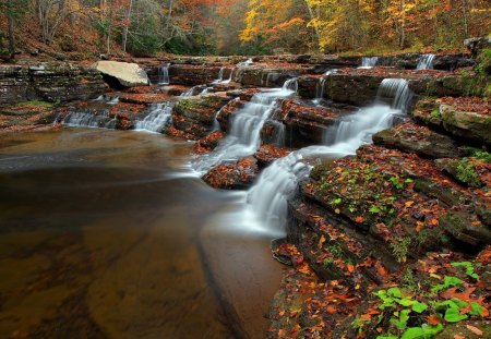 waterfalls - river, waterfalls, forest, tree