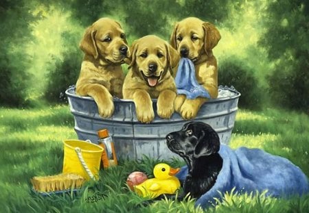 By Linda Picken - art, puppy, bath, dog, grass, linda picken