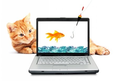 *** Cat and Aquarium *** - animal, cats, aquarium, fish, animals