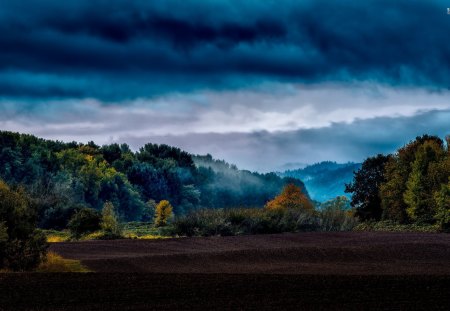 Stormy Clouds - storm, clouds, trees, landscape, forest, dark, nature, weather, sky