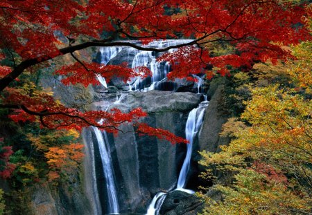 Autumn Falls - colors, trees, waterfall, leaves