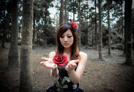 Beautiful Taiwan Girl - trees, red rose, people, girl, models, celebrity, flowers, forests, nature, rose, taiwan