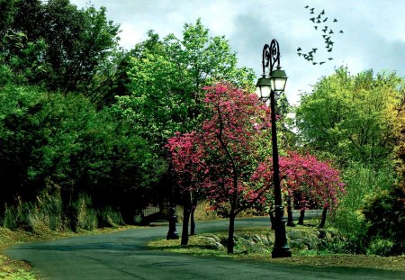 THE ROAD - nature, trees, green, road, lamp post