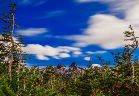 fast moving sky over forest hdr - sky, mountainsmforest, hdr, clouds