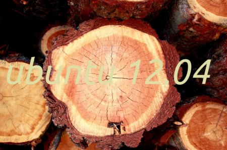 ubuntu in the wood - wood, log, trunk, ubuntu, linux