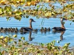 a family going out to eat