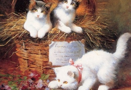 Cats - art, cute, cat, kitten