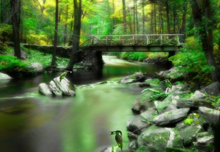 The Kingfisher's World - world, kingfisher, green, rocks, bridge