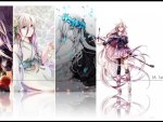 IA First Anniversary