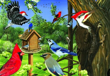 Summer joy - greenery, pretty, house, fun, trees, birds, summer, beautiful, spring, lovely, joy, cardinals, nature, nice