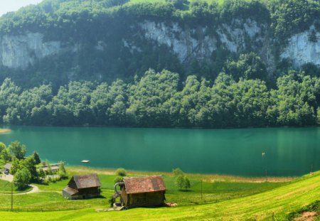 riverside cabins near - side, mountain, grass, river