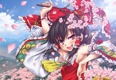 Hakurei Reimu - Other & Anime Background Wallpapers on Desktop Nexus ...