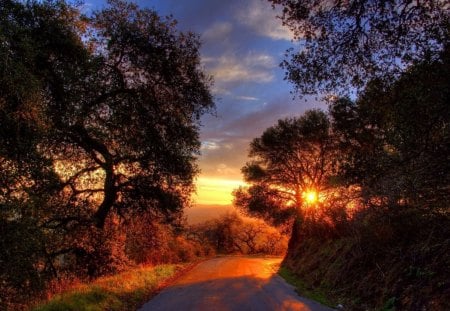 sunrise on the road - tree, road, sunrise, sun