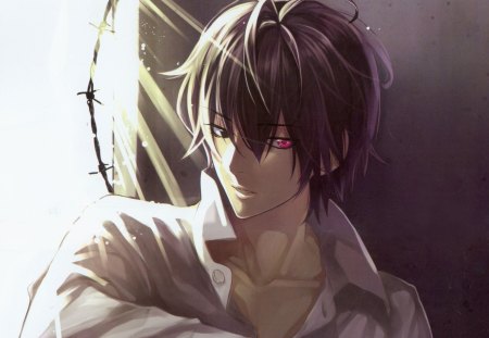 Saitou Yakumo - anime, detective, hot, guy, cool, saitou, saitou yakumo, red eyes, male, short hair, boy, handsome, yakumo, cute, psychic detective yakumo, sexy