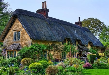 English Cottage - nature, landscape, tree, garden, plants