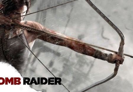 Tomb Raider 2013 - Tomb Radier, 2013, Ps3, Action, Lara Croft, Adventure, Xbox360, Video Games