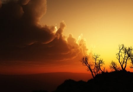 Night Fall - silhouettes, sky, trees, sun, mist