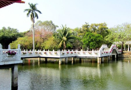 winding bridge - park, lake, tree, winding bridge