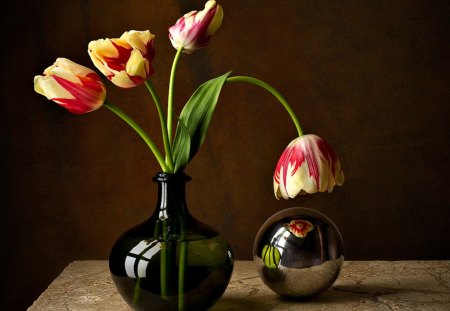 Still Life - beauty, photography, tulips, lovely, still life, vase, nature, pretty, beautiful, tulip, flowers