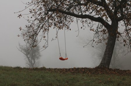 Swing - swing, grass, fog, tree