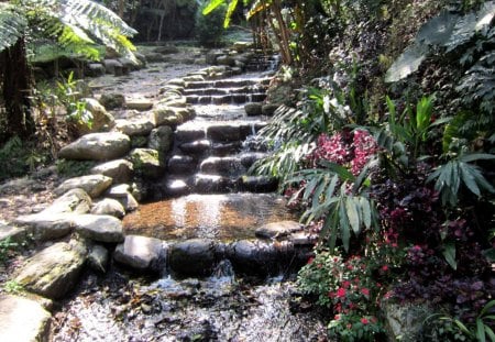 Fording trail - stone, Fording trail, nature mountain spring, plants, mountain