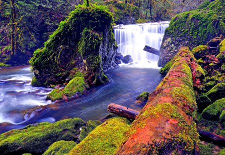 WATERFALLS - river, logs, waterfall, wood, moss, rocks