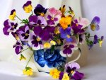 Colorful pansies