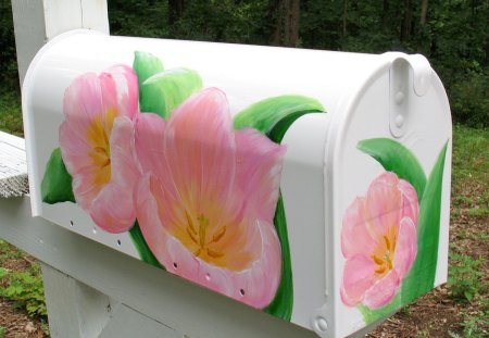 Flower mailbox - pretty, white, flower, mailbox